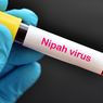 Seperti Apa Gejala Virus Nipah yang Parah? 
