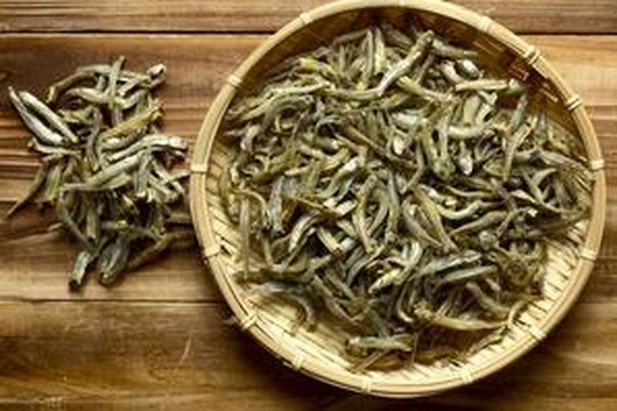 Ikan teri mengandung purin yang tinggi, sehingga tak disarankan untuk dikonsumsi oleh mereka yang mengidap asam urat tinggi.