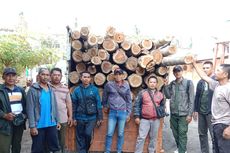 Diduga Gelapkan 88 Batang Kayu Jati Ilegal, 4 Pria di Banyuwangi Ditangkap