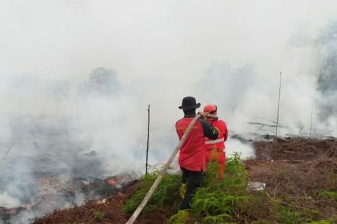 Karhutla di Riau, Titik Api Meluas dan Sulit Dipadamkan, Ini Penyebabnya