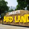 Jadwal Pertunjukan Burung Jakarta Bird Land, Wahana Baru di Ancol