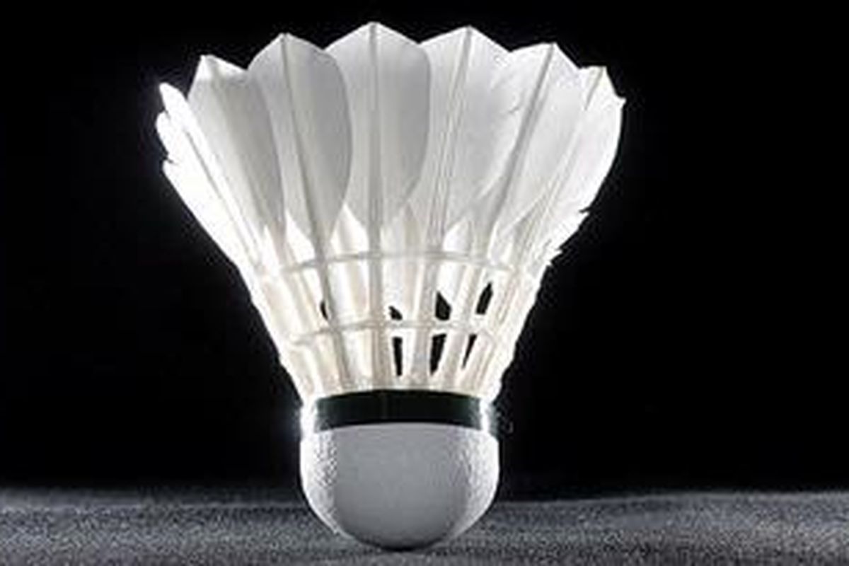 Ilustrasi badminton