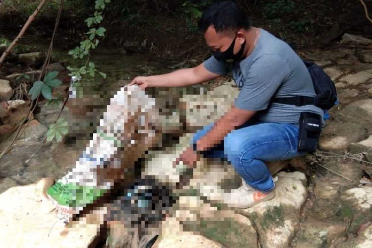 Polisi gelar olah TKP penemuan jasad bayi laki-laki di kawasan hutan, Desa Sumberagung, Kecamatan Ngaringan, Kabupaten Grobogan, Jawa Tengah, Rabu (13/1/2021). (DOKUMEN POLSEK NGARINGAN)