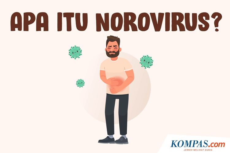 INFOGRAFIK Apa  Itu  Norovirus 