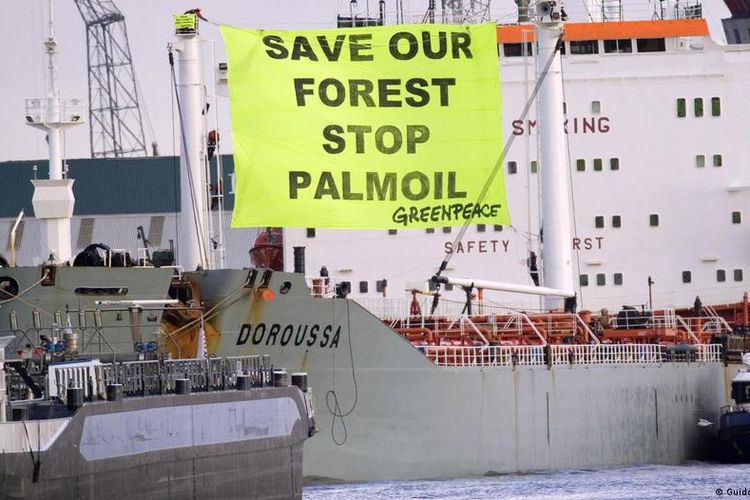 Greenpeace has tried to stop the destruction of forests for years