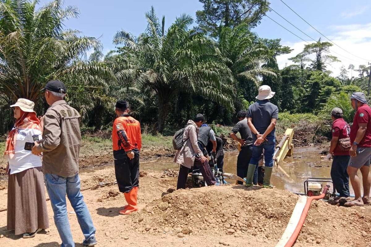 Likuefaksi di Mamuju Tengah Terjadi di Area Sawit, Diduga Akibat Alat Berat