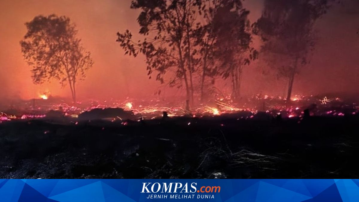 Waspada Kekeringan dan Karhutla, BNPB: Pemda Diminta Petakan Wilayah