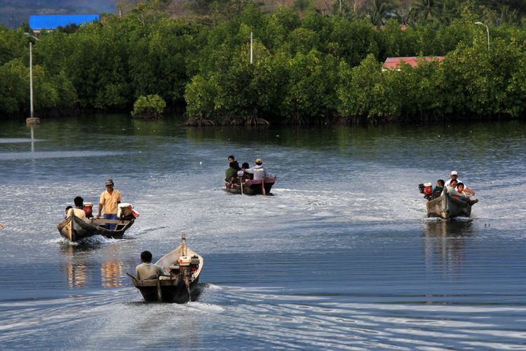 Lalu lintas masyarakat Suku Bajo yang menggunakan perahu dengan latar belakang hutan mangrove yang mereka kelola.