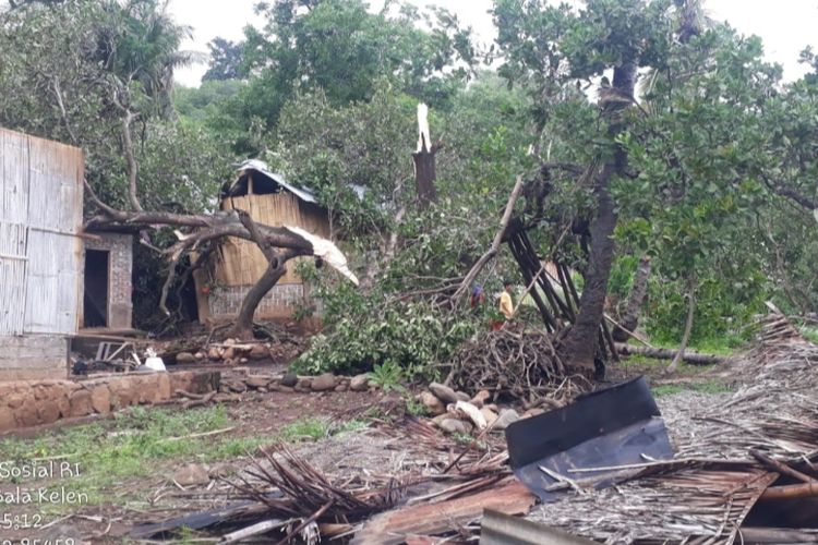Pohon tumbang timpa rumah warga di Desa Ilepadung, Kecamatan Lewolema, Kabupaten Flores Timur, Nusa Tenggara Timur (NTT), Senin (22/1/2024)