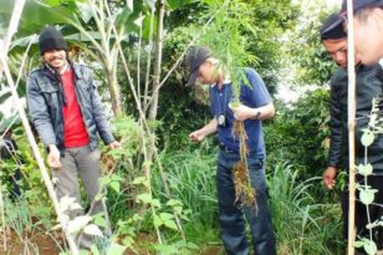 Anggota BNN Kabupaten Bogor saat melakukan penyisiran ke lokasi ladang ganja di kawasan Perhutani, Taman Nasional Gunung Gede-Pangrango, Pasir Pogor, RT 01/01, Desa Cileungsi, Kecamatan Ciawi, Kabupaten Bogor, Kamis (24/7/2014). K97-14