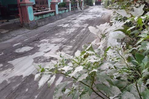 Hujan Abu Tipis Turun di Boyolali Setelah Erupsi Gunung Merapi