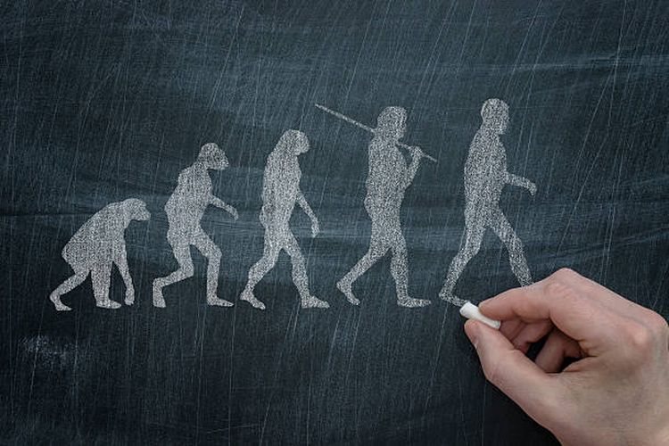 Ilustrasi teori evolusi Charles Darwin.