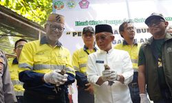 Grup Merdeka Perkuat Konservasi Biodiversitas, dari Pelepasliaran Maleo hingga Perlindungan Anoa