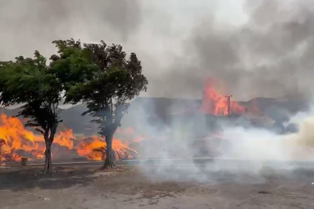 Ilustrasi kebakaran yang menyebabkan polusi udara global