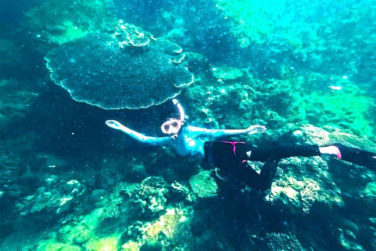 Keindahan bawah laut di Pulau Kabung Kalimantan Barat