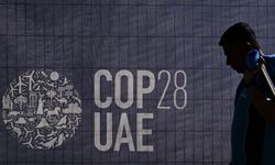 COP28 Dubai: Aktivis Gelar Demonstrasi, Desak Hentikan Bahan Bakar Fosil