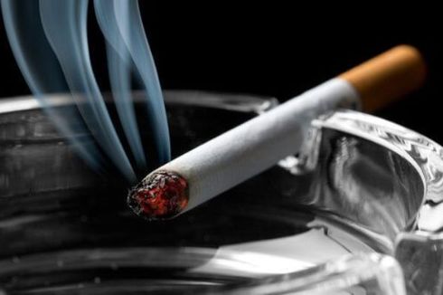 Penerimaan Cukai Tembakau Terus Meningkat