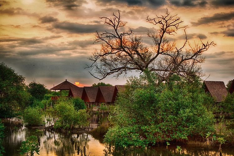 Taman Wisata Alam (TWA) Mangrove Angke Kapuk, Jakarta Utara