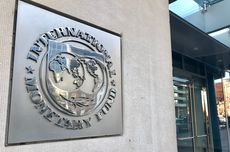 9 Negara Eropa Memprotes Rencana Kunjungan IMF ke Rusia