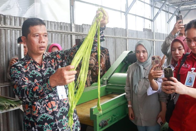 Tiga Negara ASEAN Belajar Olah Limbah Nanas dari Prabumulih