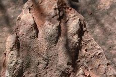 Tapak Dinosaurus Berusia 230 Juta Tahun Ditemukan di Utara Barcelona