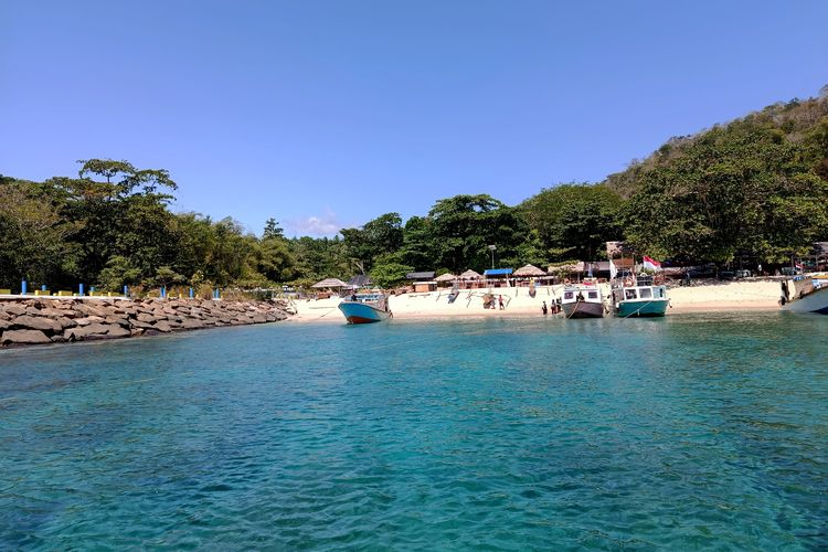 Dari Dasar Laut Pulisan, Menanam Karang dan Harapan Warga