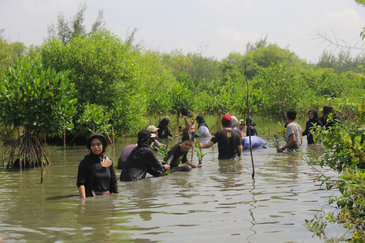 Acer Indonesia kembali menanam mangrove sebagai bagian dari inisiatif #SayangBumi di Kawasan Konservasi Mangrove di Wonorejo, Surabaya.