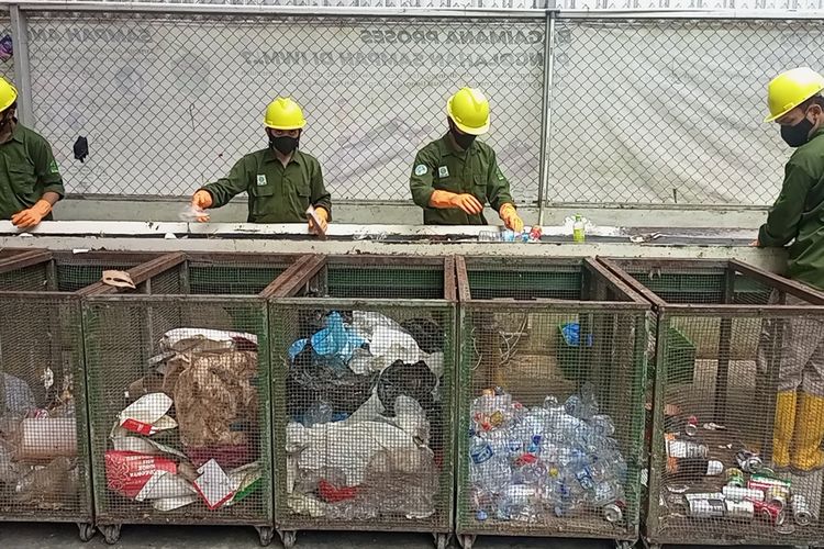 Petugas pembiakan magot melakukan pengolahan sampah organik di Taman Safari Indonesia, Bogor, Jawa Barat, Sabtu (14/10/2023).