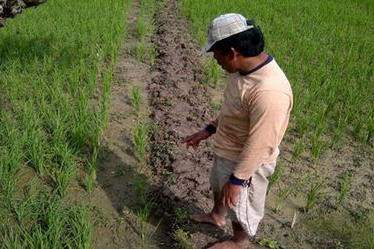 Pagar Kawat Dialiri Listrik Untuk Menjebak Tikus Nekat jebak tikus dengan listrik pln ac super ekstrem langsung selesai. pagar kawat dialiri listrik untuk