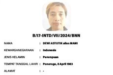 Larangan Pesta Kembang Api Malam Tahun Baru 2026 di Yogyakarta, Polisi dan Satpol PP akan Lakukan Pengawasan