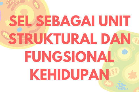 Sel sebagai Unit Struktural dan Fungsional Kehidupan