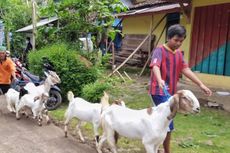 Tanah Bergerak di Purbalingga, 36 Rumah Rusak, 165 KK Mengungsi