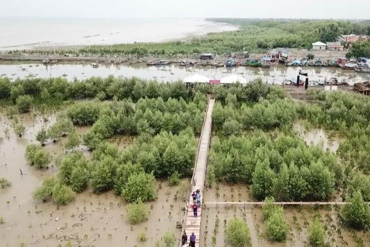 Masyarakat Dusun Pasir Putih, Desa Sukajaya, Kecamatan Cilamaya Kulon, Kabupaten Karawang bersama PT PHE ONWJ dan Dinas Kelautan dan Perikanan Karawang berencana membuat ekowisata mangrove.