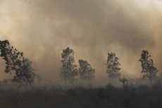 Kabut Asap, Kualitas Udara di Riau Masuk Kategori Tidak Sehat