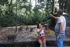 Monkey Forest Ubud, Wisata Bali Bersama Monyet Selfie yang Viral