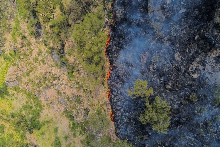 Cuaca Tak Mendukung, 2 Helikopter Terpaksa Berhenti Padamkan Kebakaran Bromo
