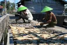 Masih Ada, Daya Tarik Sektor Perikanan Laut di Indonesia