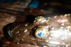 Kamera Fujifilm X-T30 III Hadir di Indonesia, Bawa Autofokus AI dan Perekaman 6,2K