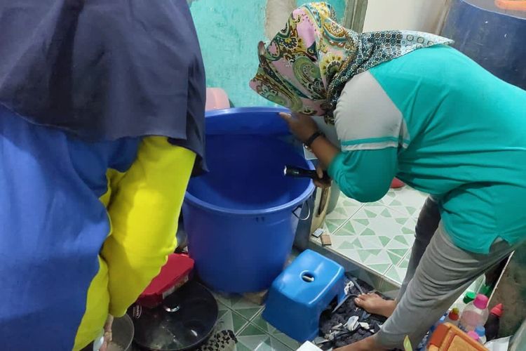 Petugas jumantik Kelurahan Semper Timur, Kecamatan Cilincing, Jakarta Utara tengah melakukan pemeriksaan di tempat penampungan air warga dalam kegiatan pemberantasan sarang nyamuk (PSN) untuk mencegah demam berdarah (DBD), Jumat (13/5/2022).