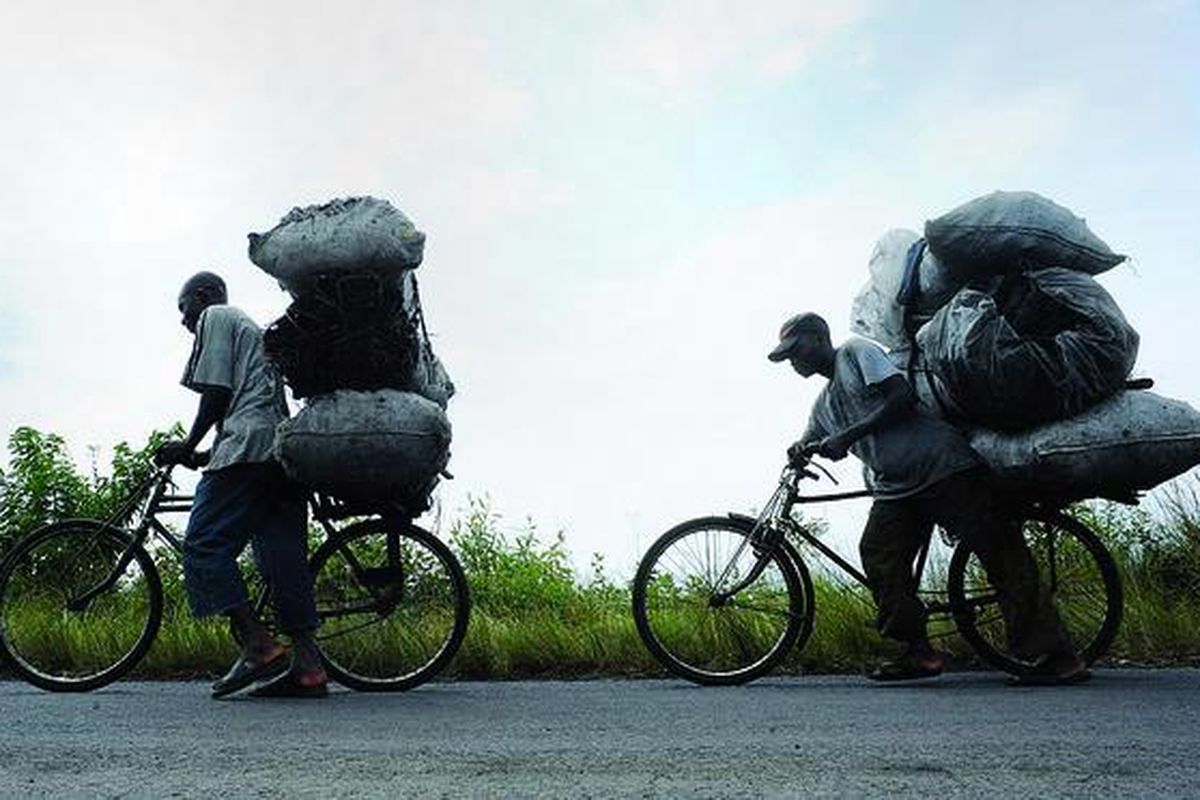 Penjual  arang mendorong sepeda menaiki bukit, membawa produk mereka ke pasar di Sake, Kivu utara,  Kongo, Sabtu (3/12). Banyak di antara arang  seharga sekitar 20 dollar AS (Rp 180.000) per karung itu  dibuat dari kayu-kayu di Taman Nasional Virunga. Jutaan orang di daerah bermasalah itu menggunakan arang untuk memasak serta sebagai pemanas ruangan.