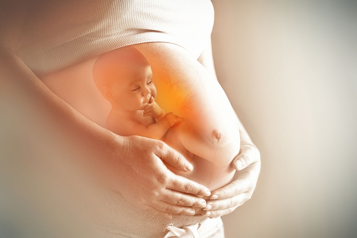 Ilustrasi bayi dalam kandungan, ibu hamil. Bayi dalam kandungan ternyata sudah bisa merespon rasa dan bau makanan yang dimakan ibunya.