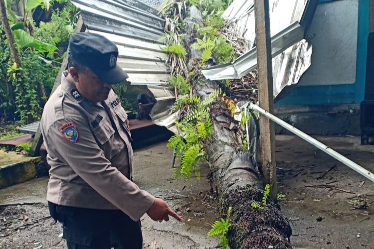 Petugas Bhabinkamtibmas saat hendak mengevakuasi pohon tumbang yang menimpa rumah warga di Banjar Batanbuah, Desa Abiansemal Dauh Yeh Cani, Abiansemal, Badung, pada Senin (6/2/2023) sekitar pukul 09.00 Wita. / Humas Polres Badung