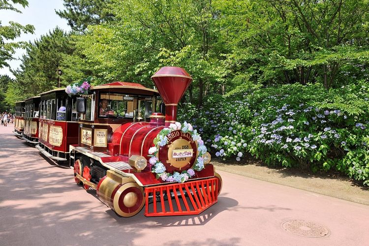 Hydrangea Train di Hakkeijima Sea Paradise, Jepang.