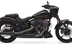 Dua Model Edisi Spesial Baru Harley-Davidson