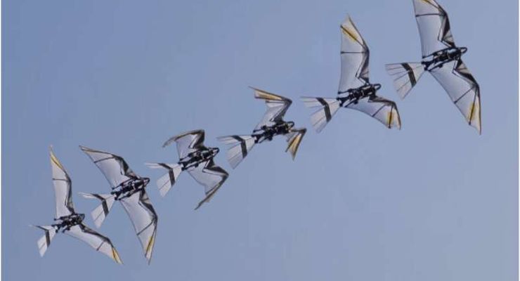 Ilmuwan Ciptakan Robot Burung yang Bisa Terbang Ala Elang