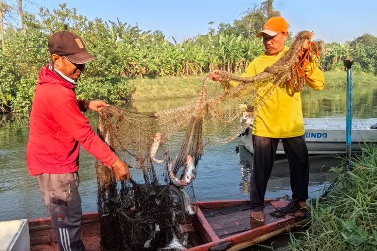Ecoton Temukan Mikroplastik pada 7 Jenis Ikan di Kali Surabaya, 80 Persen Betina