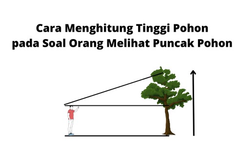 Cara Menghitung Tinggi Pohon pada Soal Orang Melihat Puncak Pohon