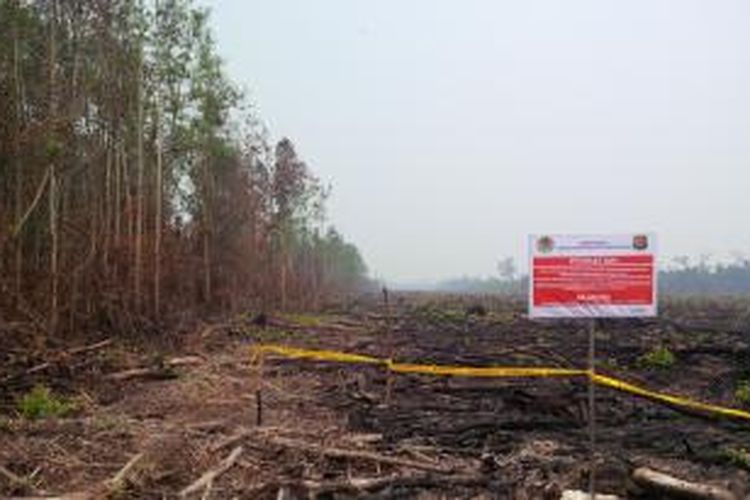 Bekas lahan yang sengaja dibakar yang berbatasan dengan hutan arboretum Nyaru Menteng, Jalan Tjilik Riwut Km.28, Palangkaraya, Kalimantan Tengah (28/10/2015). Saat ini lokasi tersebut sudah diisegel oleh Kementerian Kehutanan dan Lingkungan Hidup. 