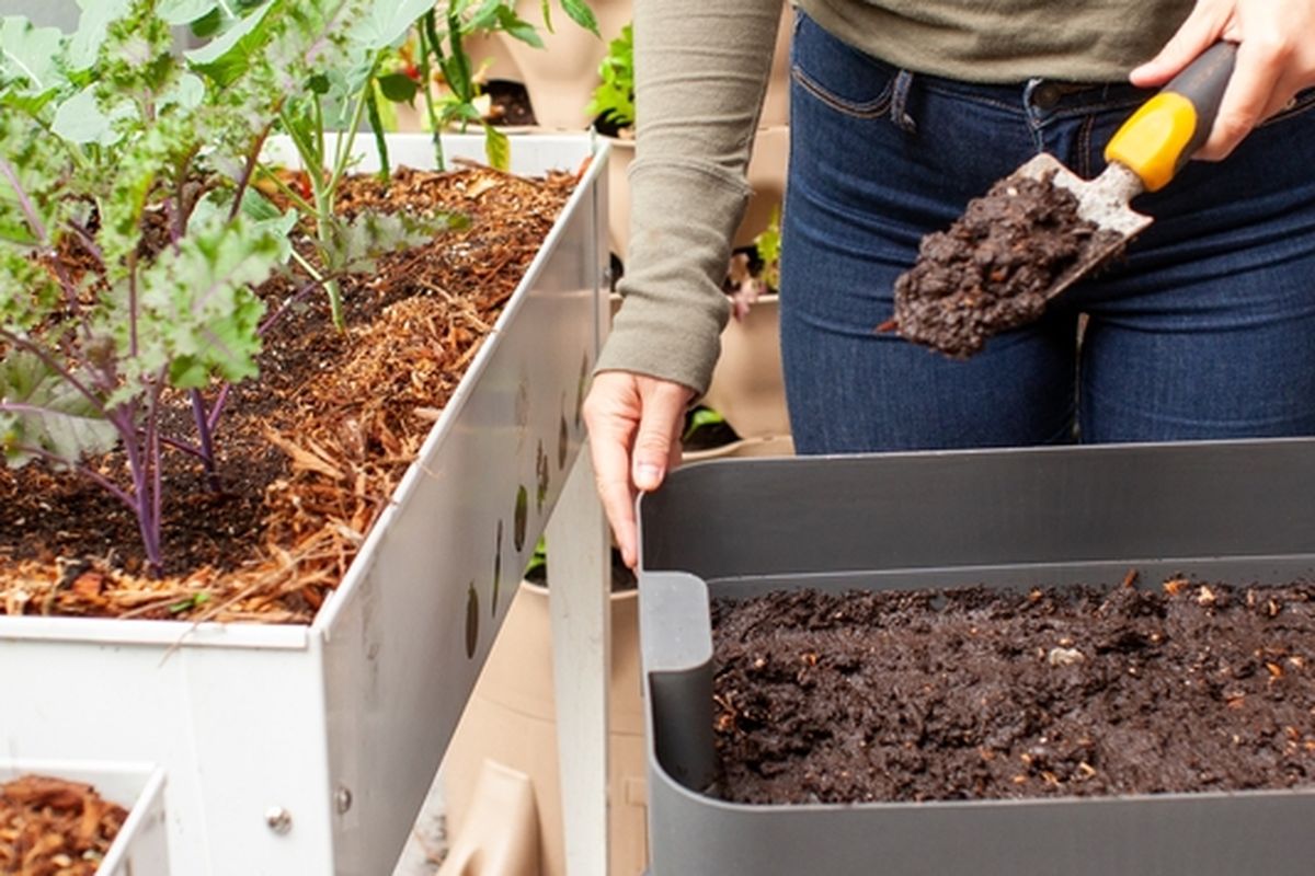 Ilustrasi pupuk kompos, menggunakan pupuk kompos untuk tanaman. 