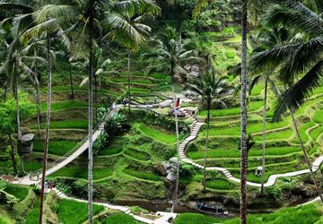 Saat Turis Dosmetik Merosot, Bali Berevolusi Jadi Ultra Luxury Hub Asia